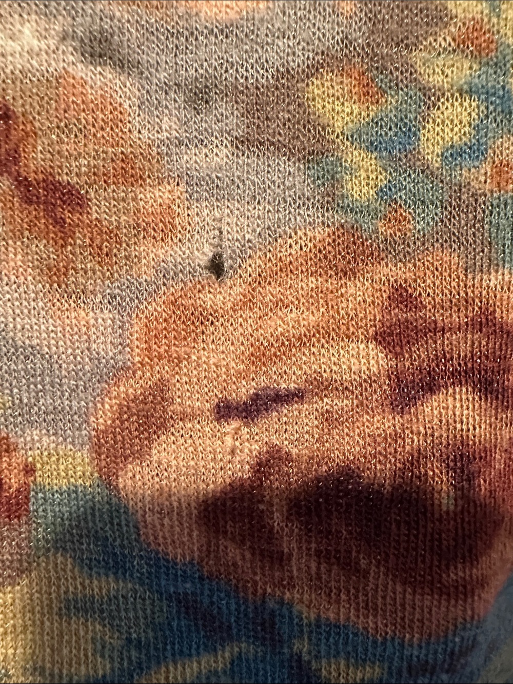 Dries Van Noten Floral Crop Top in Brown, Yellow, Blue - Picture 2 of 4